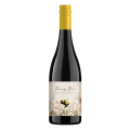 Busy Bee Shiraz Mourvedre Viognier 