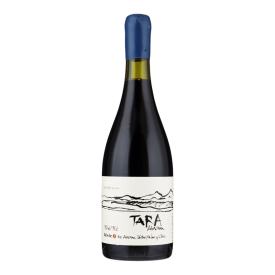 Ventisquero Tara Syrah 