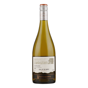 Ventisquero Reserva Chardonnay 